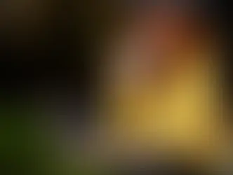 Почему кофе не на всех действует одинаково