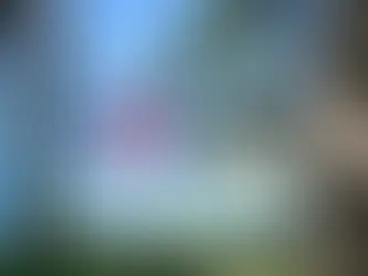 Неизвестная Швейцария: Один из кантонов Швейцарии сделал натурализацию бесплатной