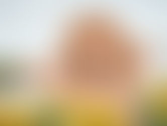 Три типа солнцезащитных средств, которые не защищают