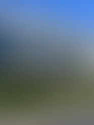 В Женеве проходят протесты против политики двойных стандартов МОК