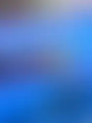 Два швейцарских триатлониста снялись с эстафеты на Олимпиаде из-за кишечной инфекции