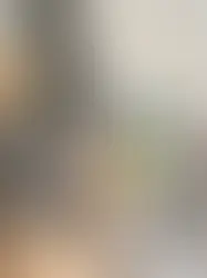 В Берне разрабатывается план налогообложения чаевых