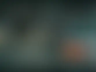 Германия вновь введёт пограничный контроль