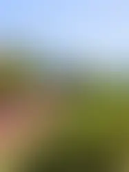 Линия CFF Лозанна-Ивердон затоплена водой в районе Шаворне (VD)