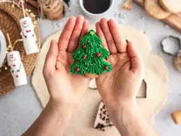 Рождественская альтернатива для тех, кто не хочет губить ёлку