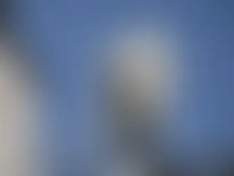 Швейцария завершила битву за 5G
