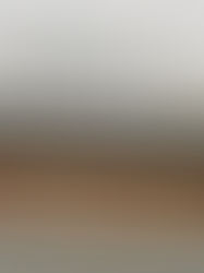 Аэропорты Цюриха и Женевы были заблокированы активистами