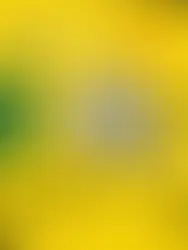 12-й фестиваль пива в Цюрихе