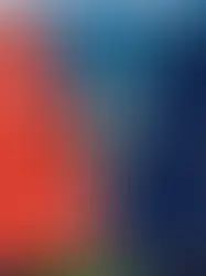 Австралийка со швейцарскими корнями добилась получения швейцарского гражданства