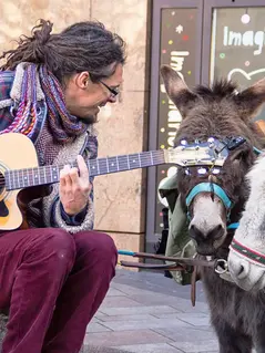 Праздник музыки в Женеве