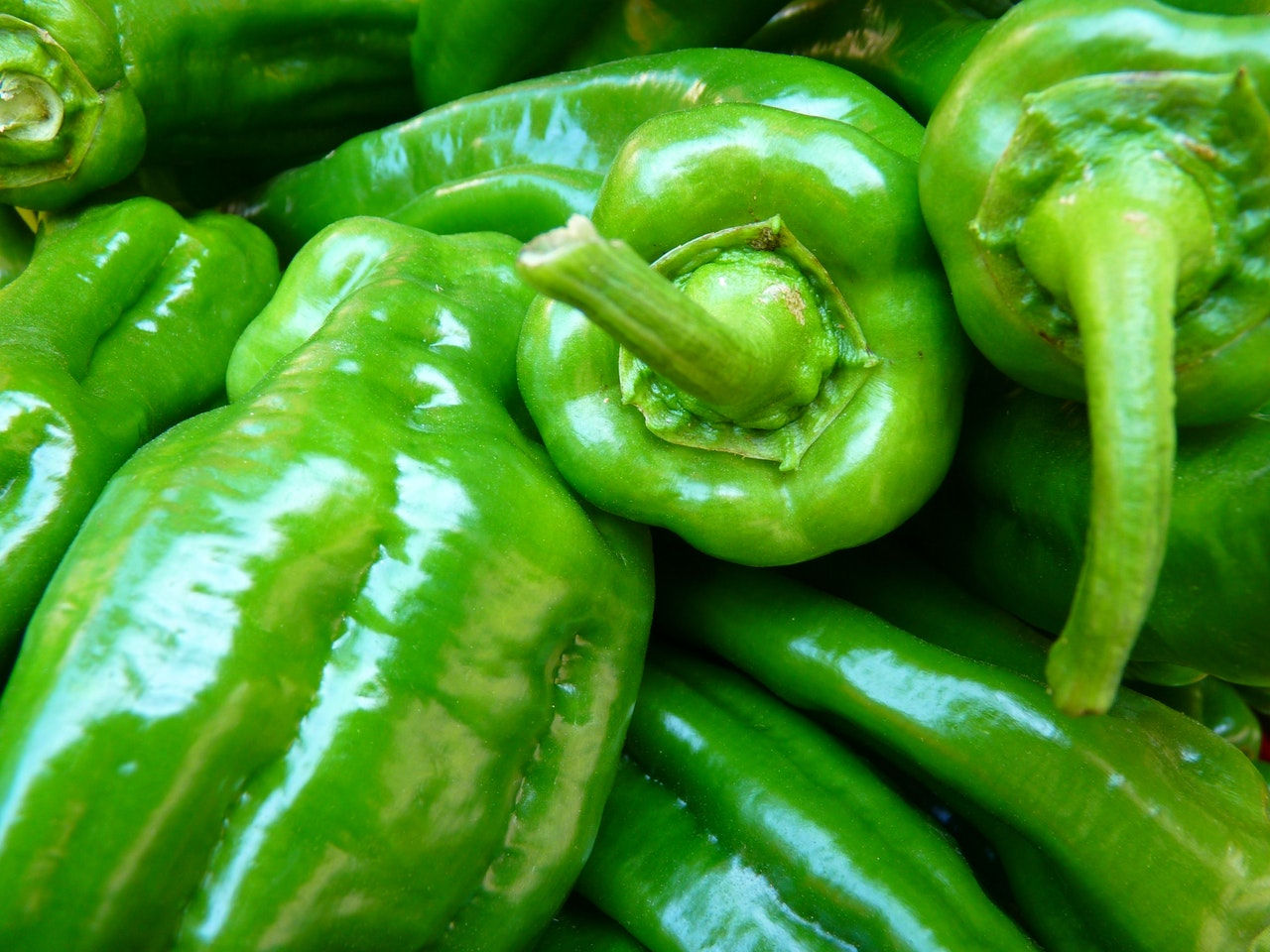 Green Pepper Large