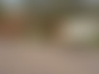 Prefeitura de Taquari/RS anuncia que recolherá cavalos soltos em locais públicos