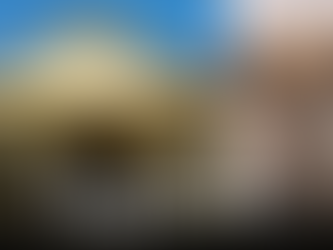 Justiça decide que tutora deve ressarcir ONG SALVADORES pelo atendimento do seu animal