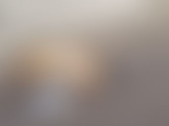 Cadela de rua recém castrada é envenenada em Taquari/RS