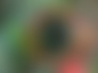 TAQUARI/RS: Animais são vítimas de maus tratos e negligência