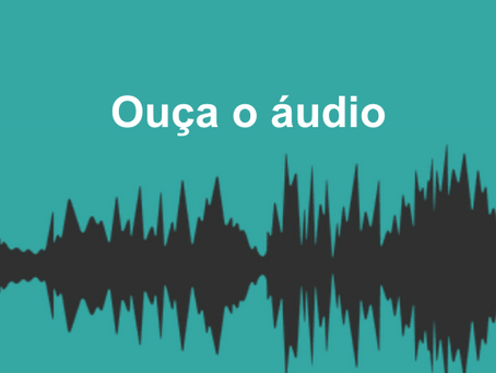 ONG recebe áudios "exigindo" recolhimendo de animal debilitado em Taquari/RS