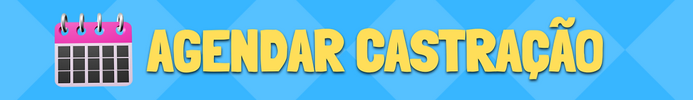 banner pix.png
