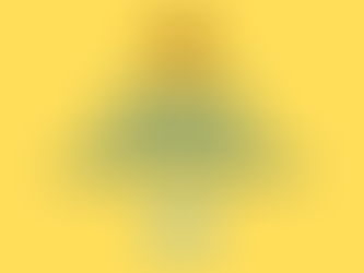 NOTA: Atividades da ONG nas festividades de NATAL E ANO NOVO