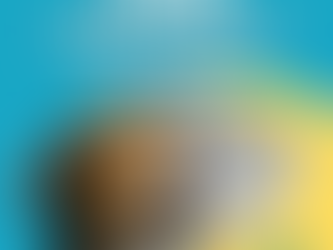 Carta aos VEREADORES de Taquari/RS