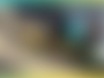 1º triciclo de incentivo ao não uso de animais em tração, ESTÁ PRONTO!