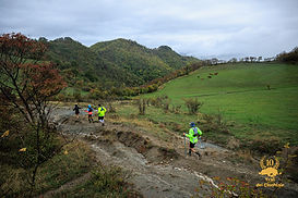 TDC-234-0A7A9809.jpg