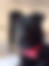 kedi sahiplendirme ilanları gösteren 5 numaralı fotoğraf sembolü
