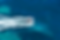 CaymanJetski.png