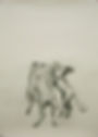 mares