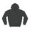 Thumbnail: PLANET 9 TRAVEL AGENCY HOODIE