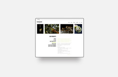 Website Development & Design - THE PICKLED WIFE