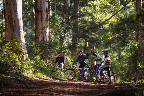 PEMBERTON MOUNTAIN BIKE PARK