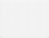 SCRATCH PATTERN GATLIN.png
