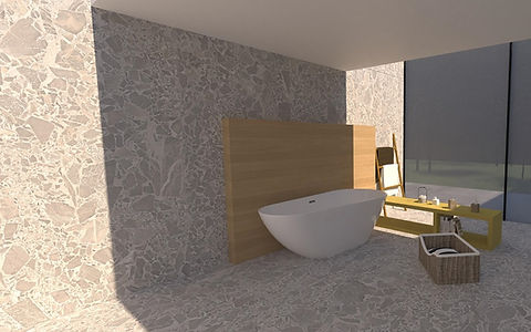 Denver Gris a_edited.jpg