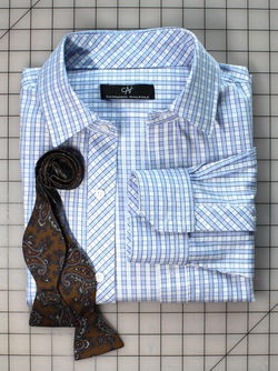 Blue Checkered Shirt Layout 2