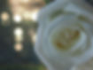 CEDB932E-FCD5-406F-82B3-CD3436A911ED.jpeg