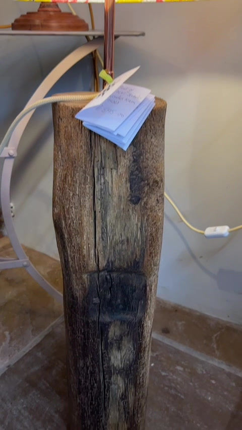 Thumbnail: Acer Leaves on Reclaimed Beam Base