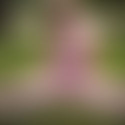 Editorial: Jessica Bulmer