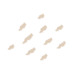 9.png