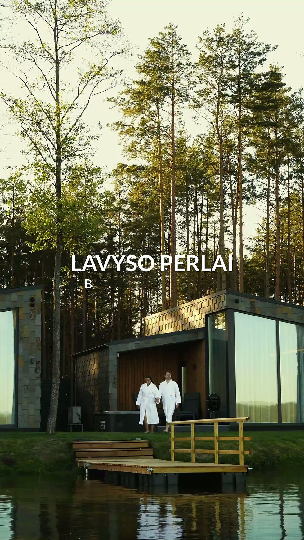 Lavyso_perlai.mov