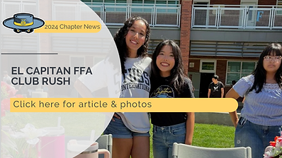 Screenshot 2024-10-22 11.29.02 AM.png