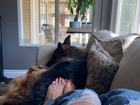 Learning to Savor Stillness