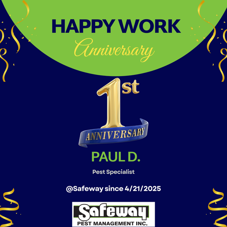 Happy 1st Anniversary