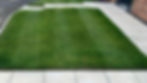 Lawn Treatment after photo