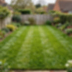 No alt text (decorative)