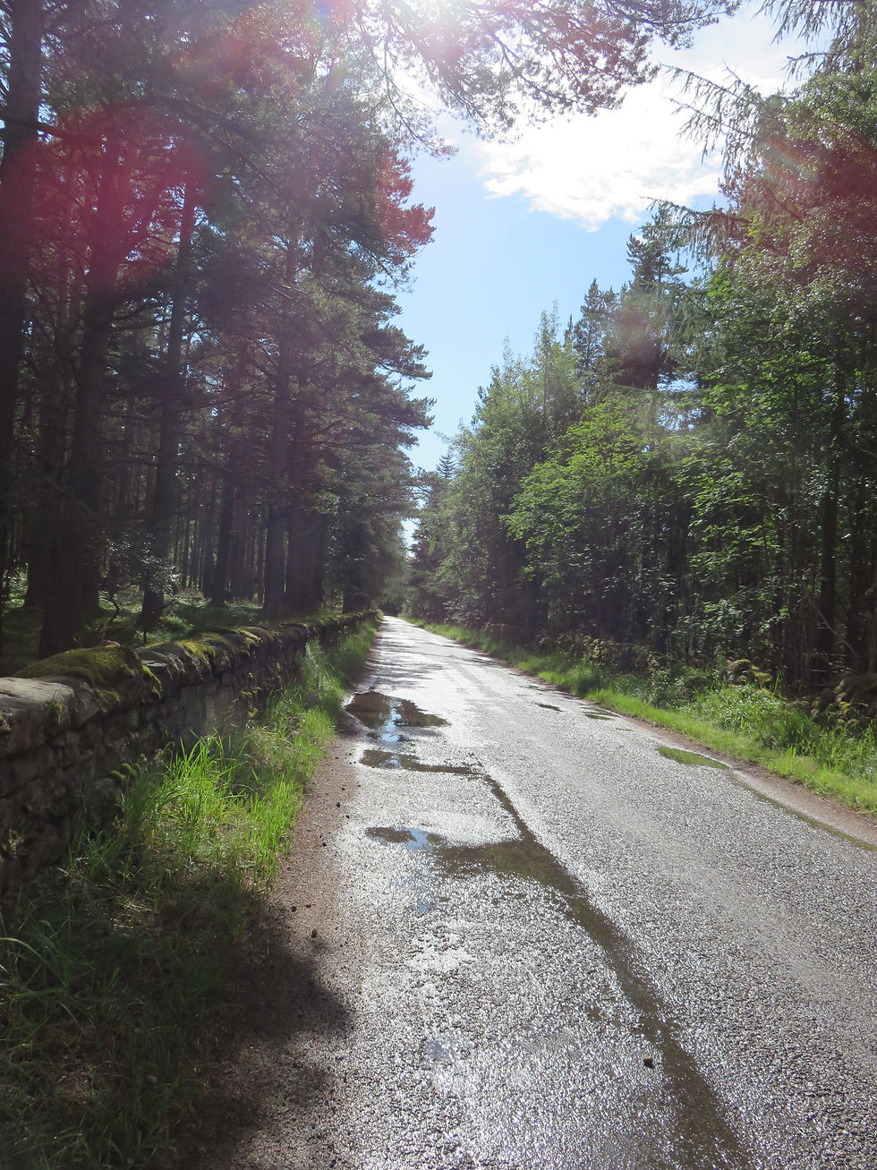Nature of Scotland