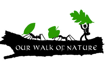 Our own Logo!