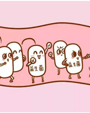 益生菌.png