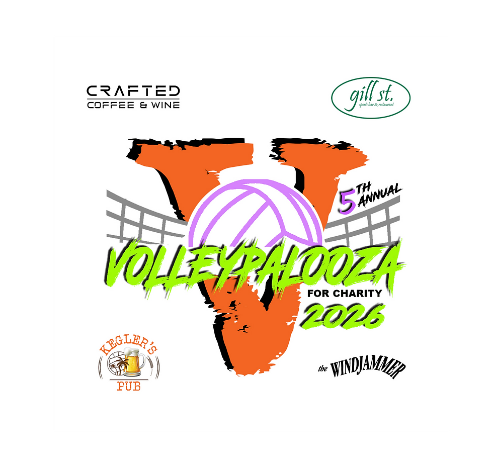 5th annual VOLLEYPALOOZA LOGO 2026_edited