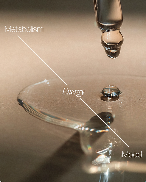 Screenshot 2026-03-11 at 9.31.14 PM.png