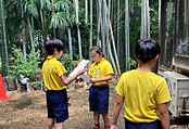 1721033488892-3.jpg